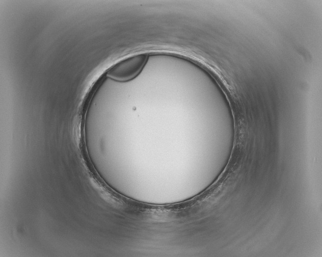 X0000116151511200912071253