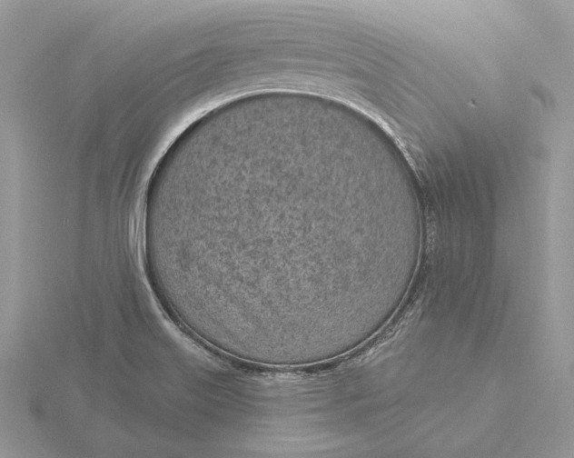 X0000116151515200912071253