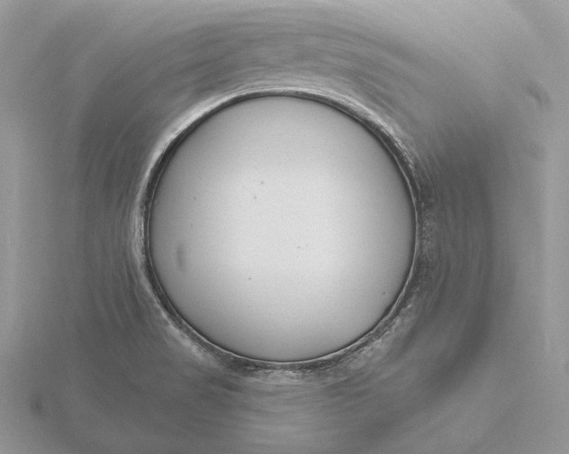 X0000116151517200912071253