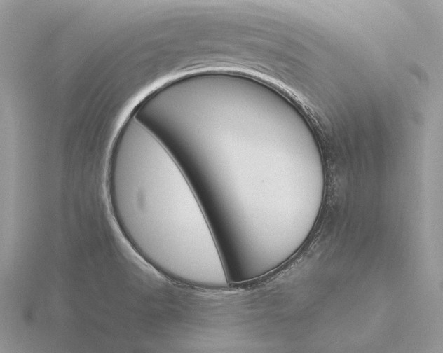 X0000116151518200912071253