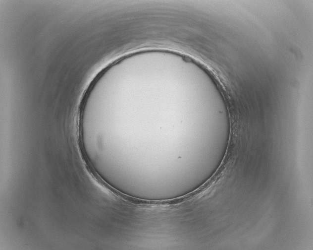 X0000116151519200912071253