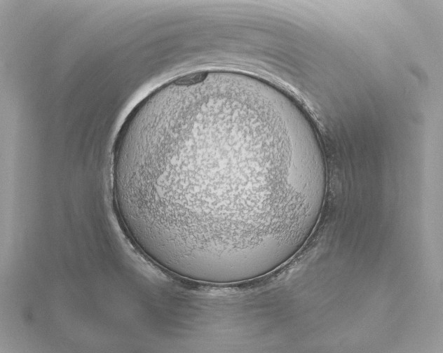 X0000116151522200912071253