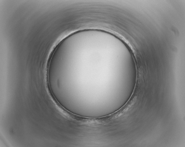 X0000116151525200912071253