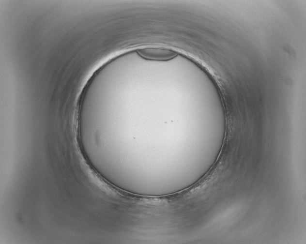 X0000116151526200912071253