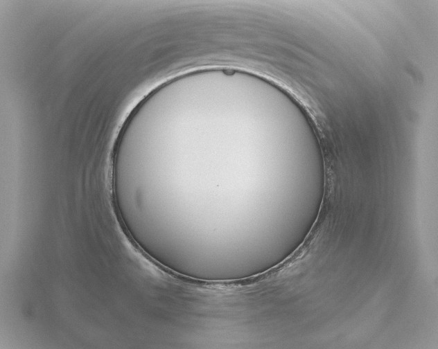 X0000116151527200912071253