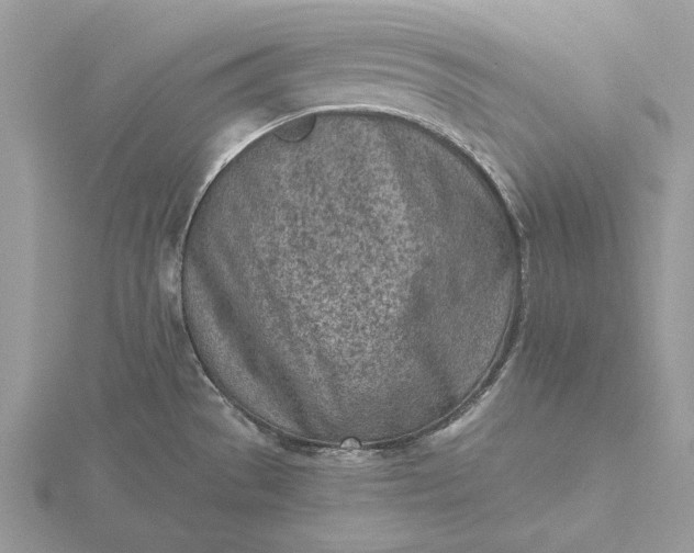 X0000116151529200912071253