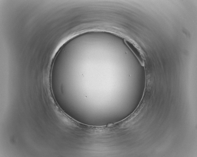 X0000116151530200912071253