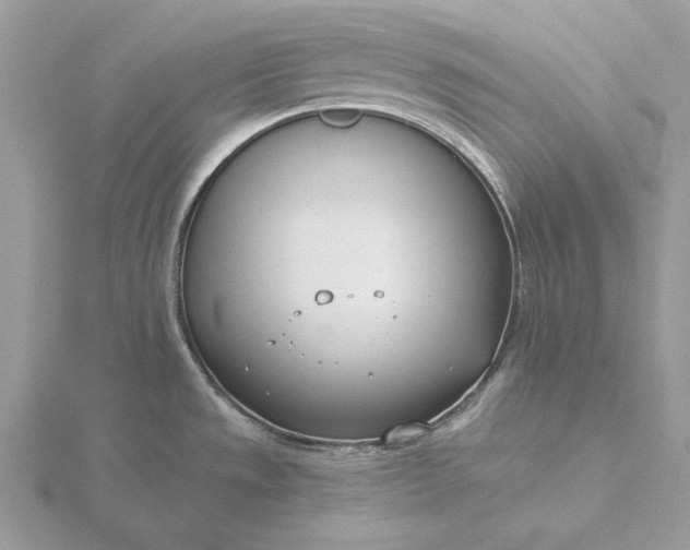 X0000116151533200912071253