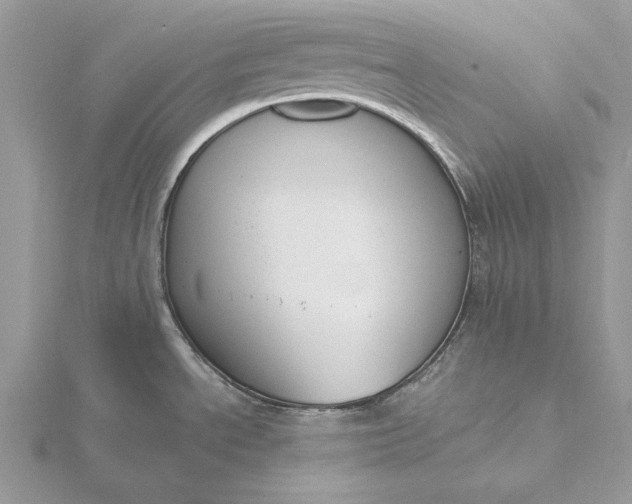 X0000116151534200912071253