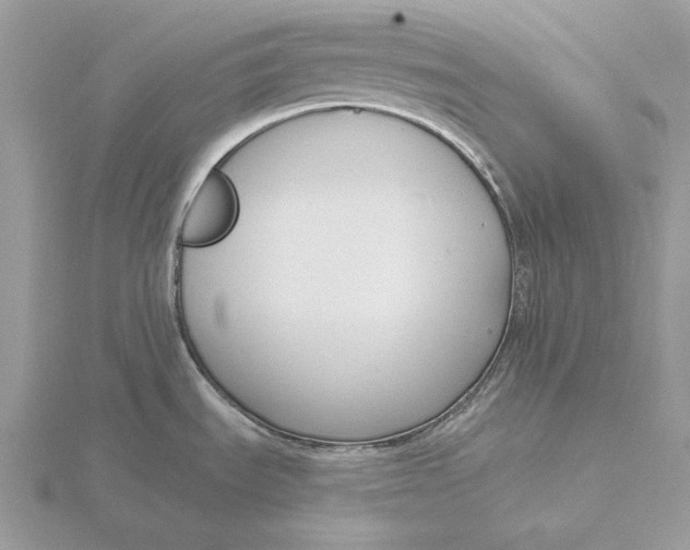 X0000116151535200912071253