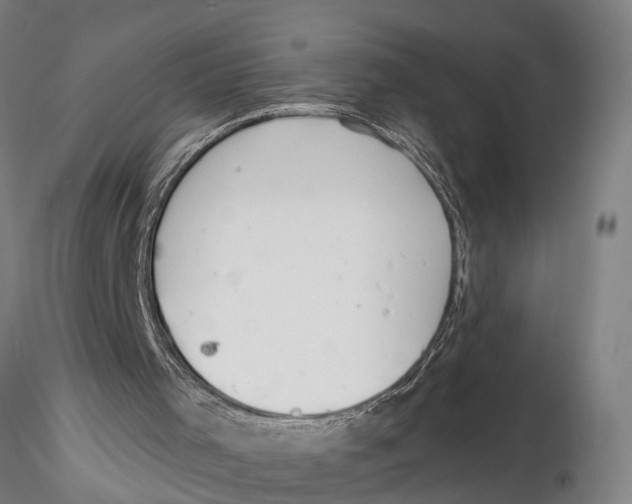 X0000116150001200912141208