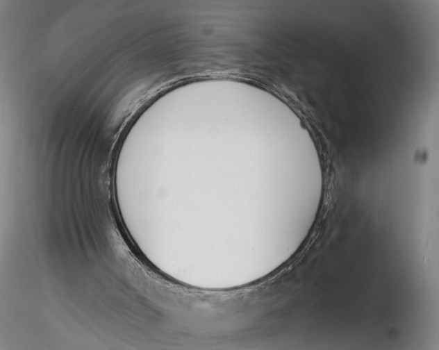 X0000116150002200912141208