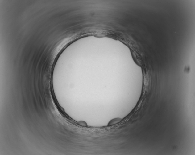 X0000116150003200912141208