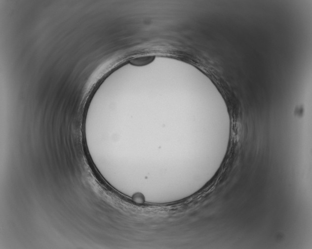 X0000116150004200912141208