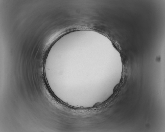 X0000116150005200912141208