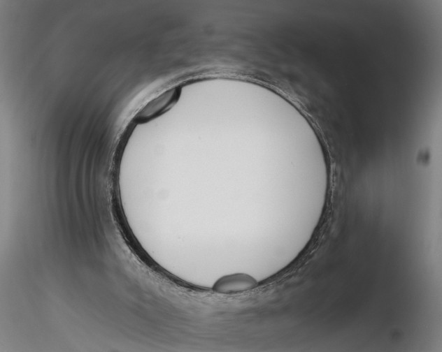 X0000116150007200912141208