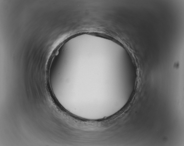 X0000116150008200912141208