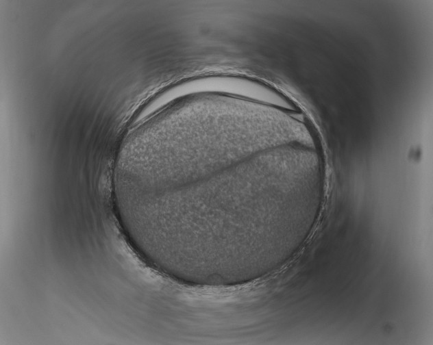 X0000116150009200912141208