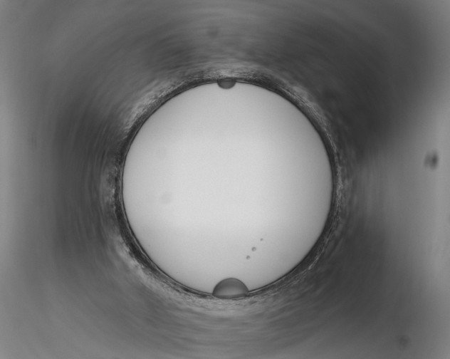 X0000116150010200912141208