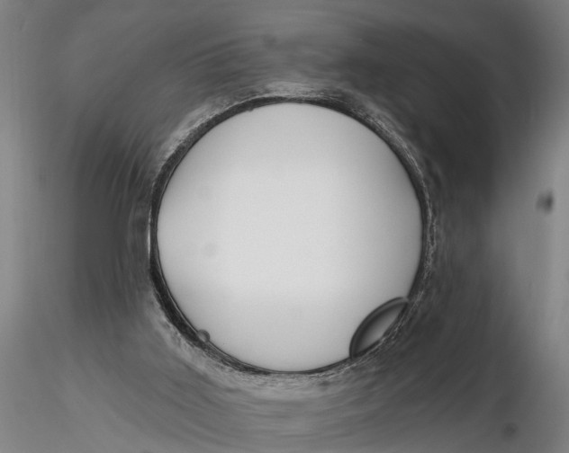 X0000116150011200912141208