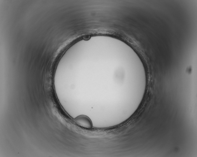 X0000116150012200912141208