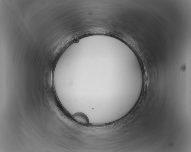 X0000116150013200912141208