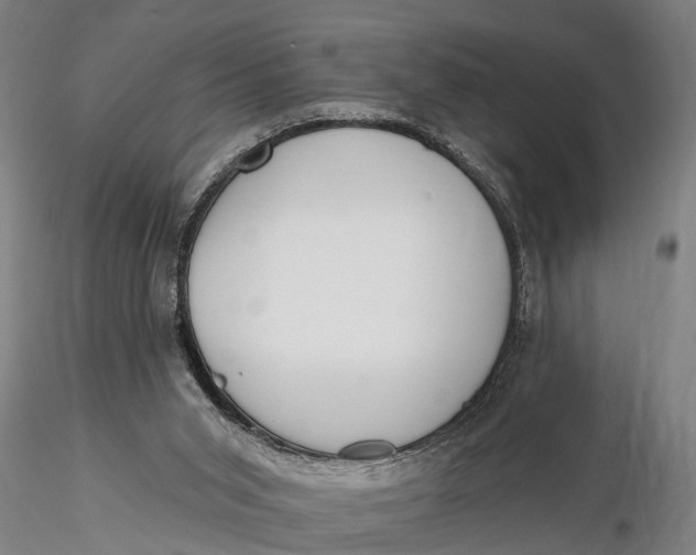 X0000116150015200912141208