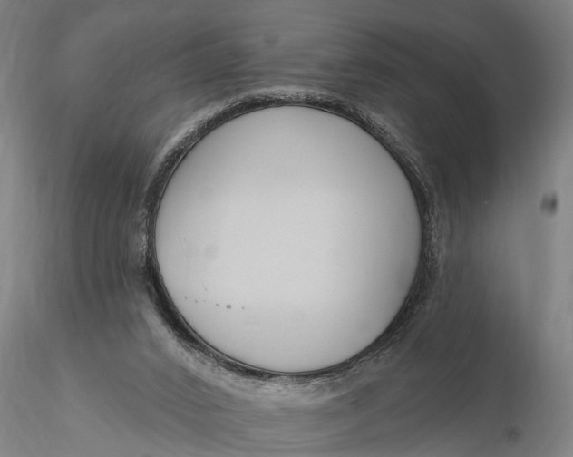 X0000116150016200912141208