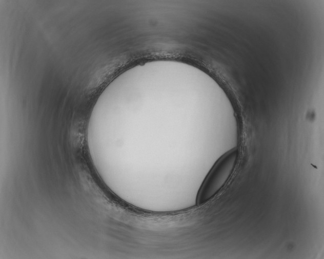 X0000116150017200912141208