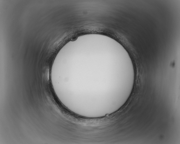 X0000116150021200912141208