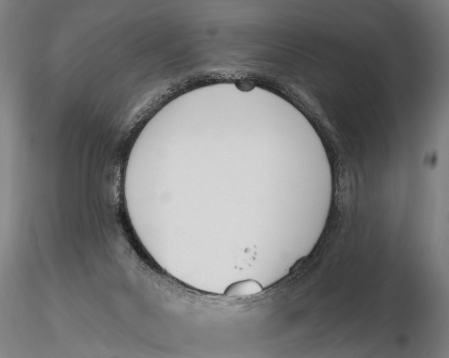 X0000116150023200912141208