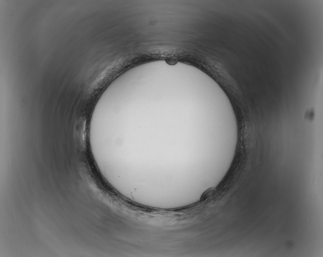 X0000116150024200912141208