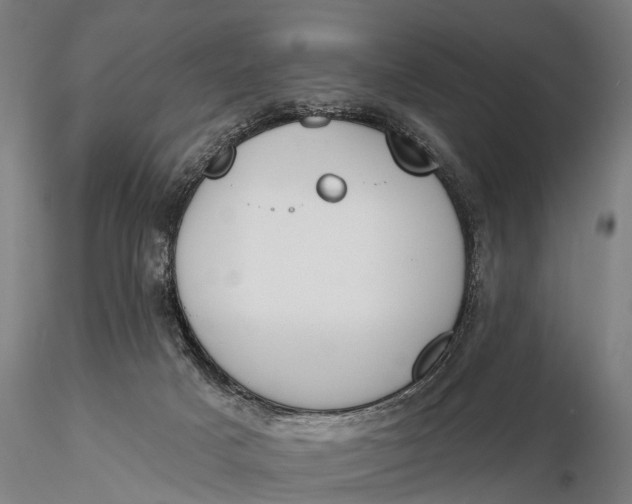 X0000116150025200912141208