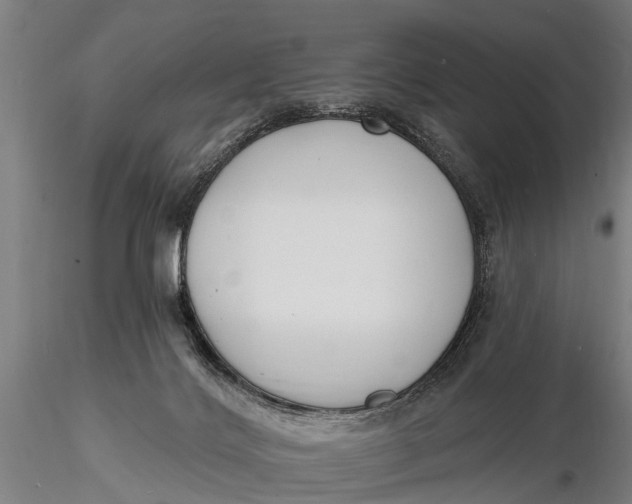 X0000116150028200912141208