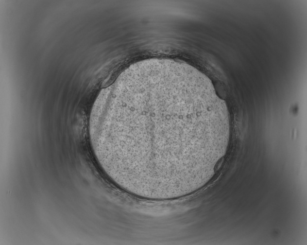 X0000116150029200912141208