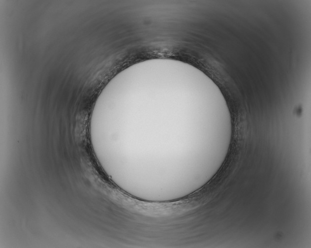 X0000116150030200912141208