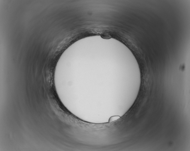 X0000116150031200912141208