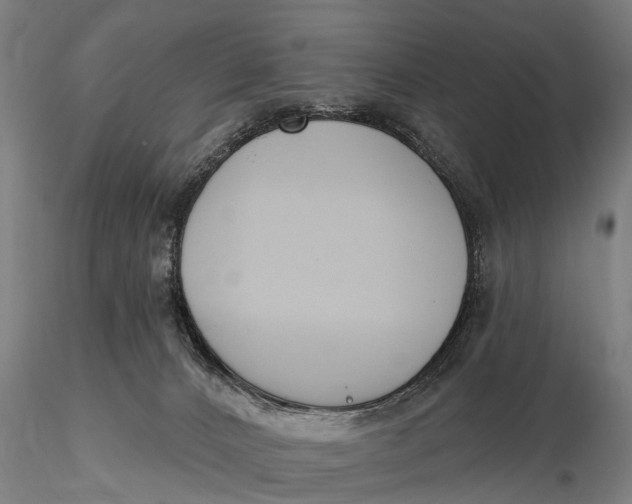 X0000116150032200912141208