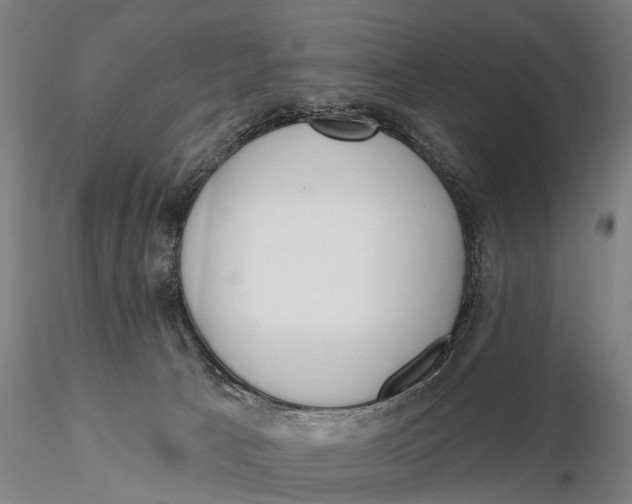 X0000116150033200912141208