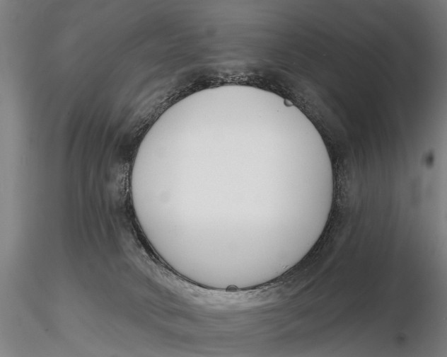 X0000116150034200912141208