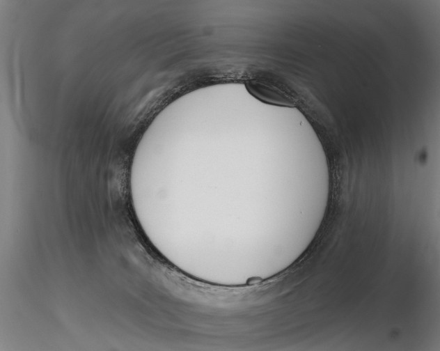 X0000116150035200912141208