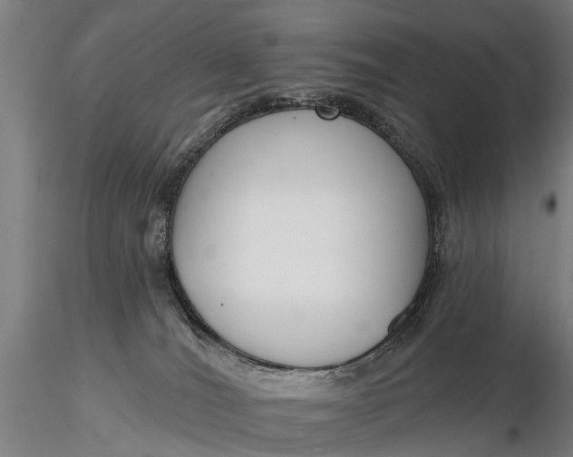 X0000116150036200912141208