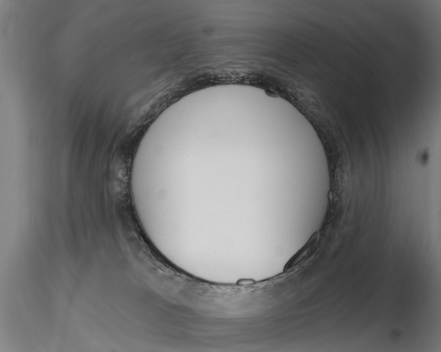 X0000116150037200912141208