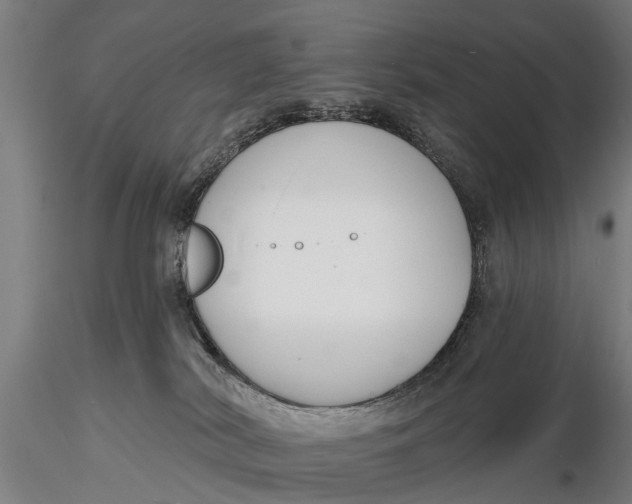 X0000116150038200912141208