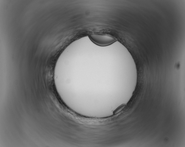 X0000116150040200912141208