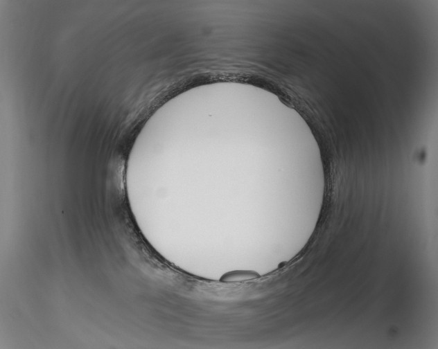 X0000116150041200912141208