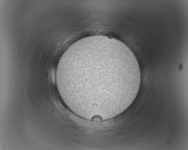 X0000116150042200912141208