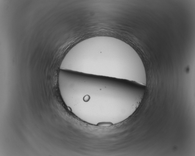 X0000116150043200912141208