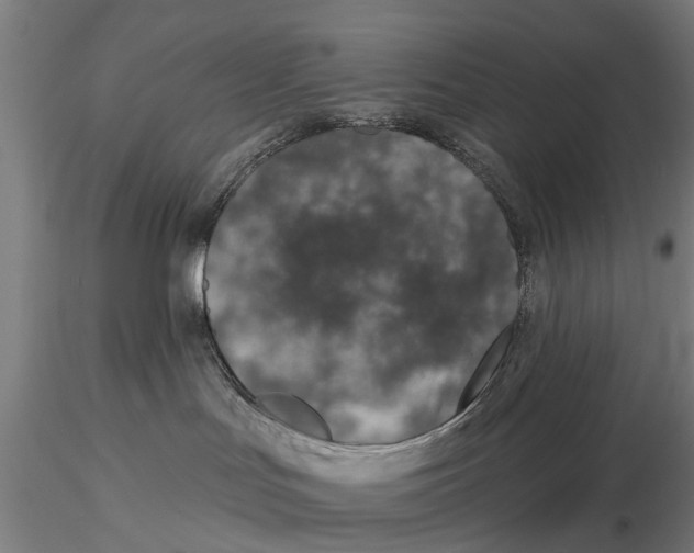 X0000116150047200912141208