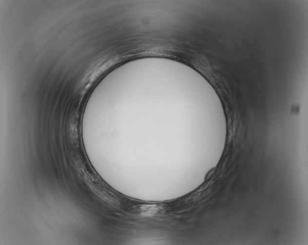 X0000116150050200912141207